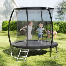 8FT Trampoline with Safety Enclosure, 243.84cm Round Trampoline for Kids Adults 3+, 880LBS Static Capacity, Black